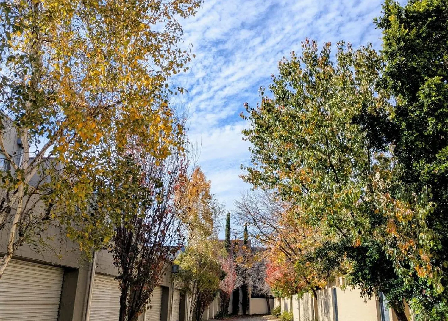 Family Friendly Executive Townhouse In Kent Town 0*, Rose Park Australia